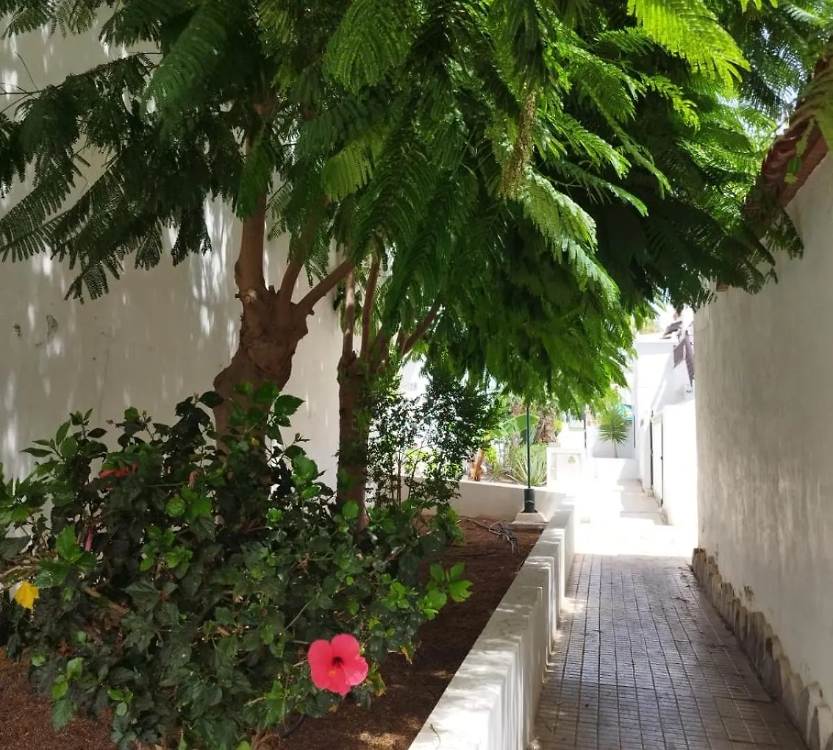 Apartament Sibil House Arona  Hiszpania